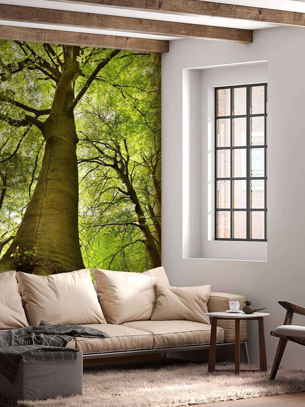 Grand arbre et racines