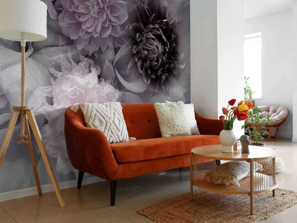 Dahlia dream