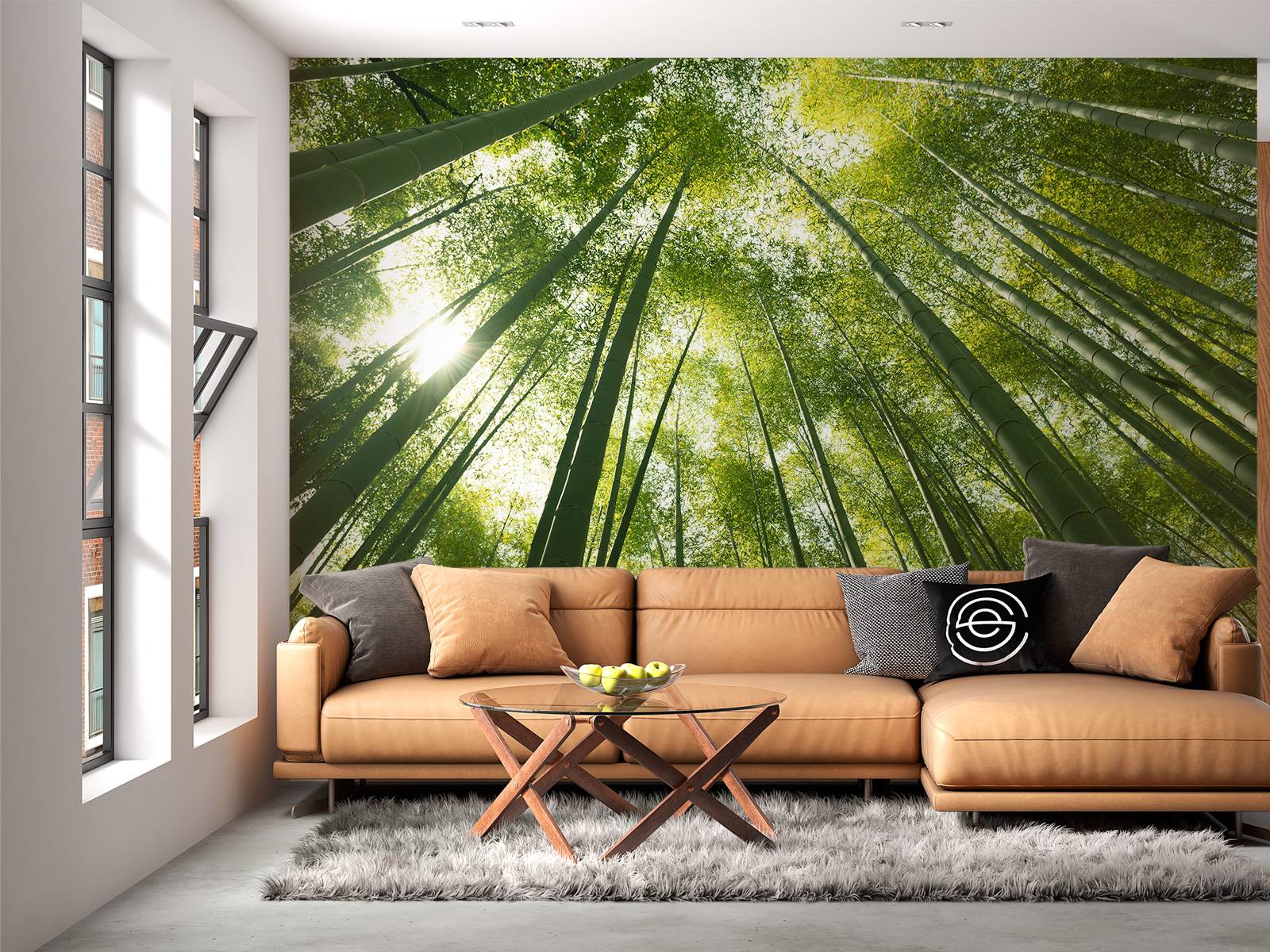 Forêt de bambous au Japon