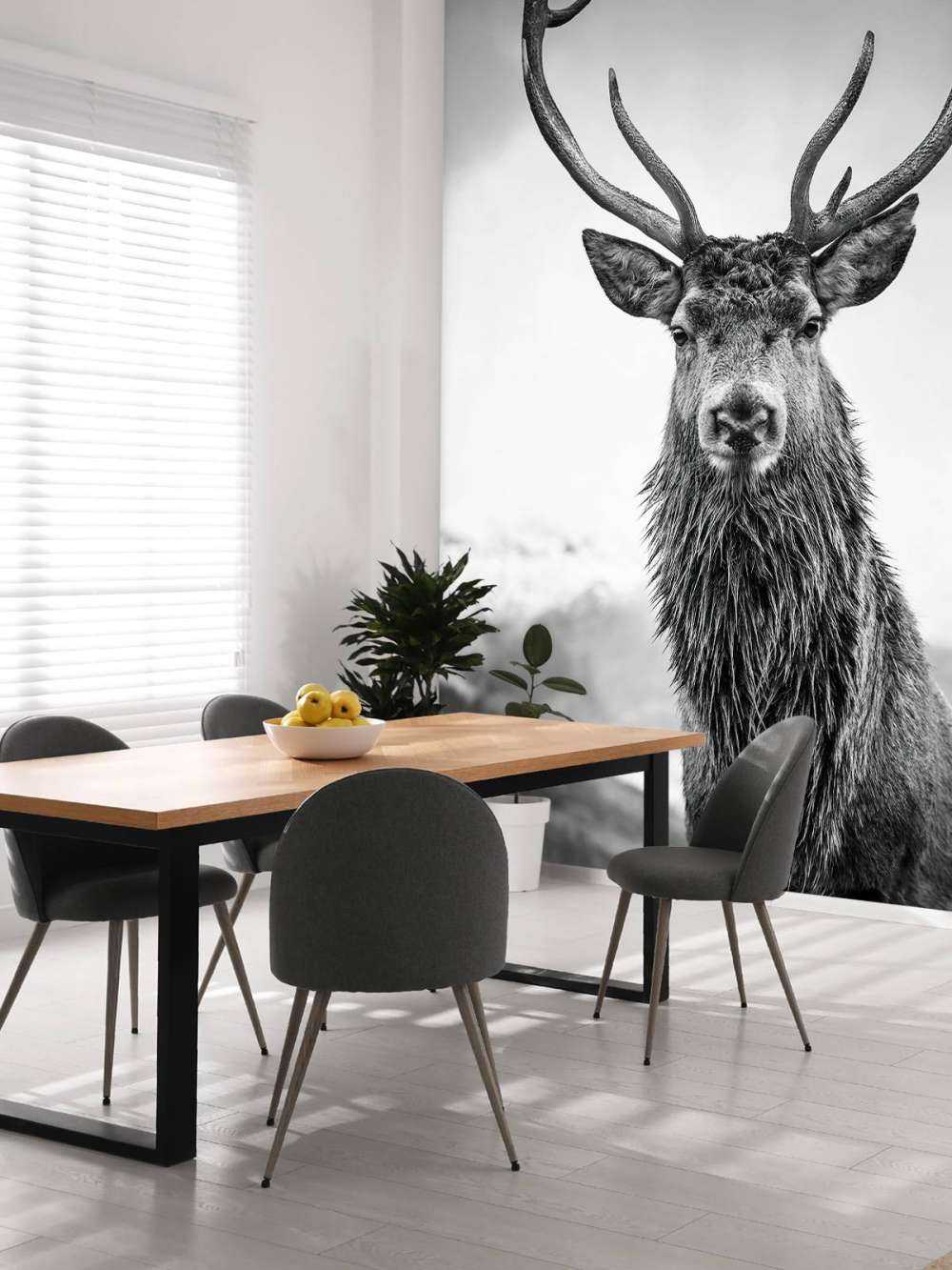 Gros cerf