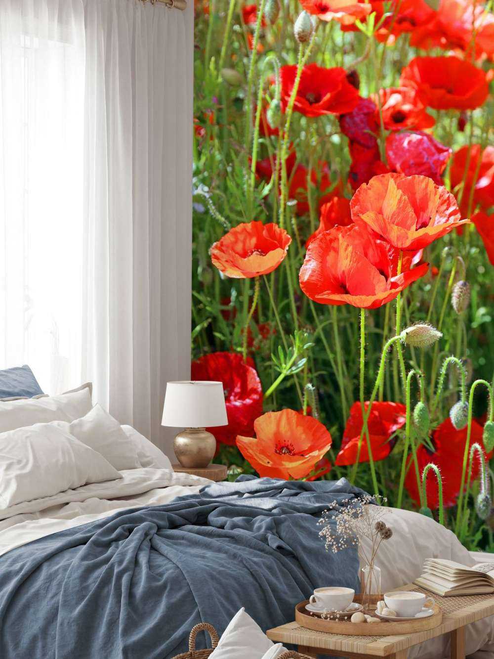 Gros plan sur des coquelicots