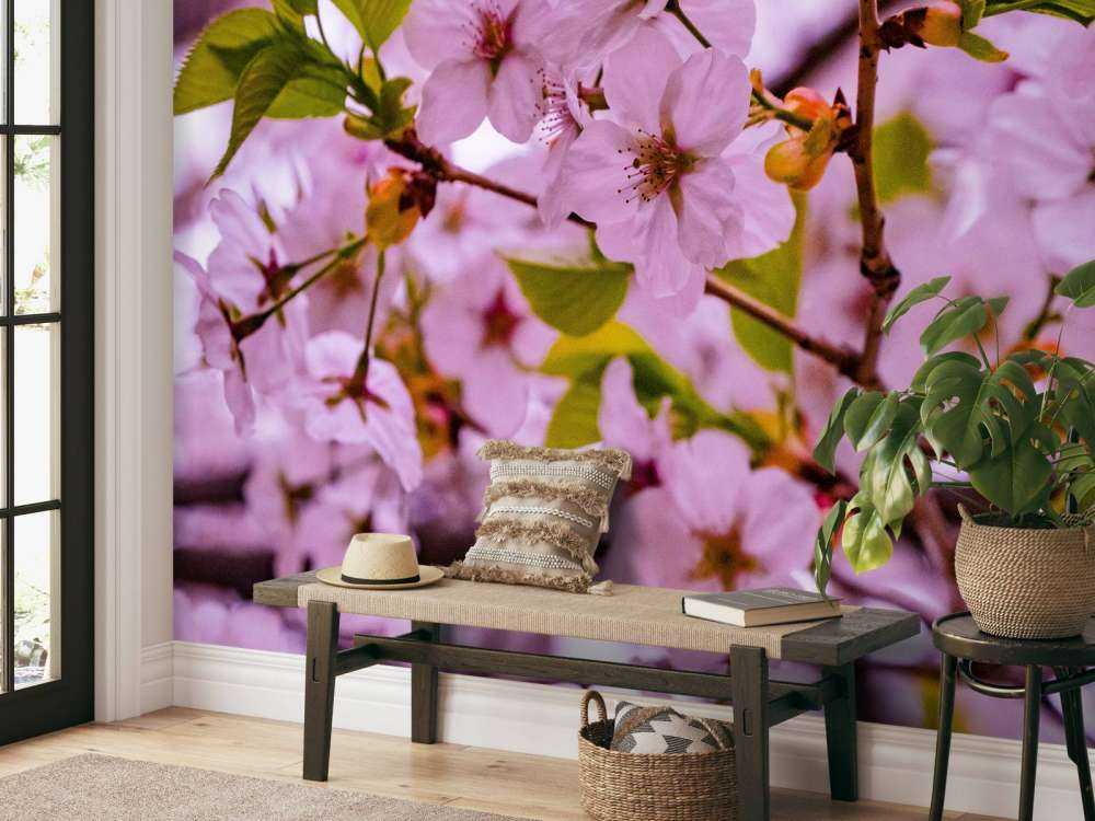 Fleurs roses avec pétales