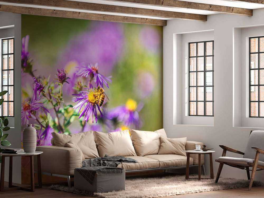 Fleurs violettes