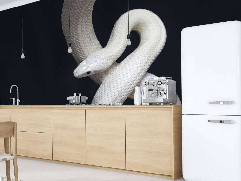 Serpent à sonnettes du Texas