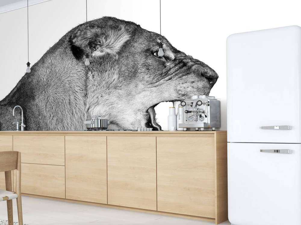 Lionne vue de côté blanc