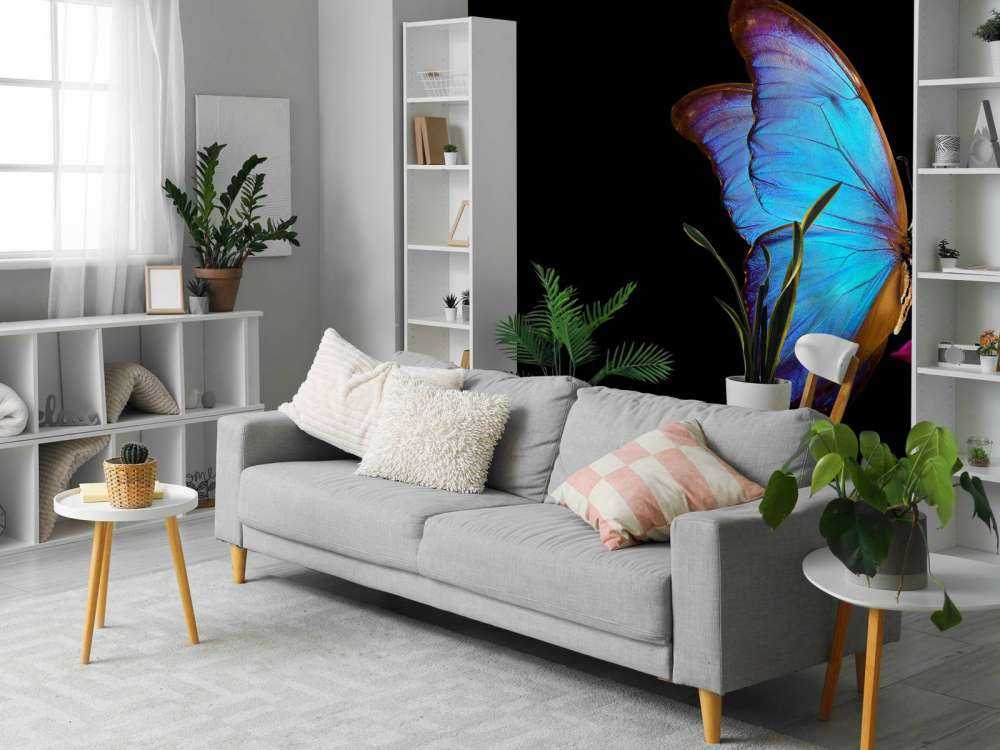 Papillon sur tulipe