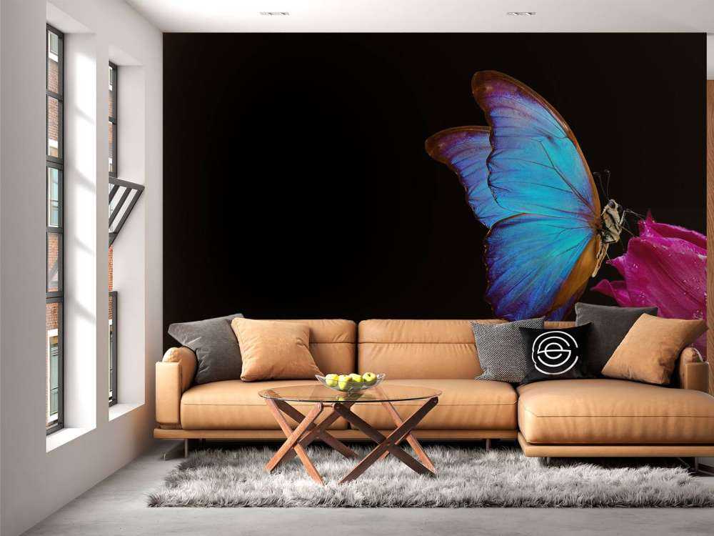 Papillon sur tulipe