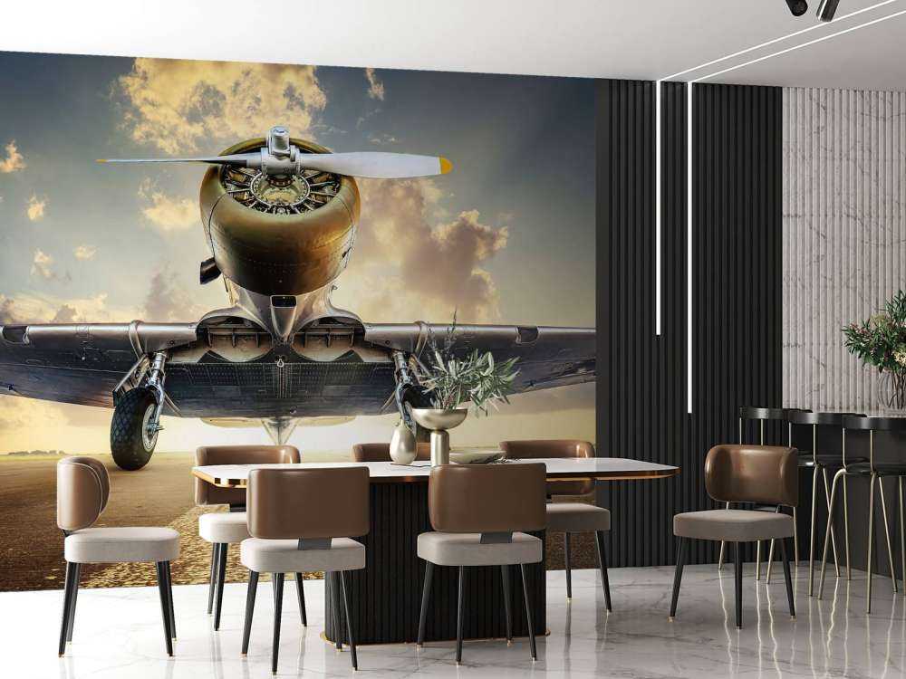 Avion historique