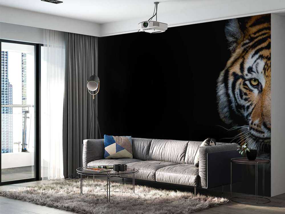Panorama des tigres