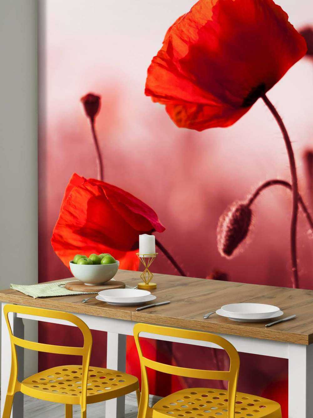 Des coquelicots dans la prairie