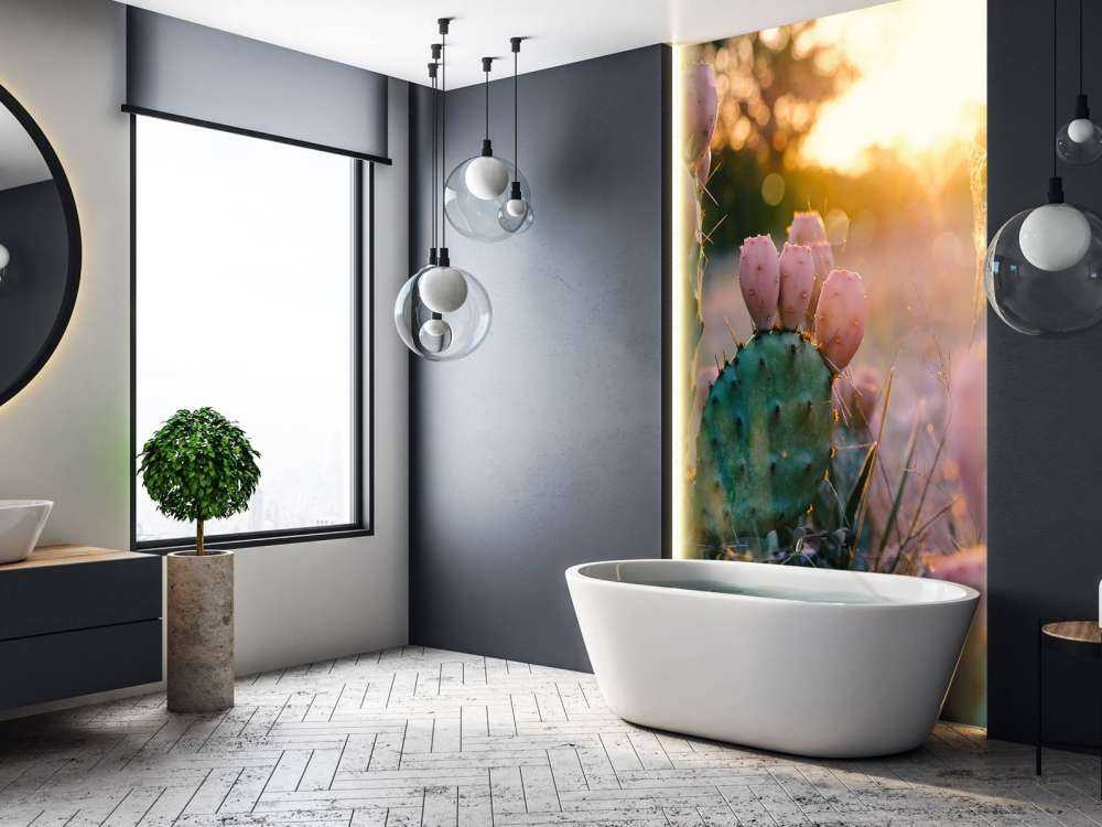 Cactus à fleurs