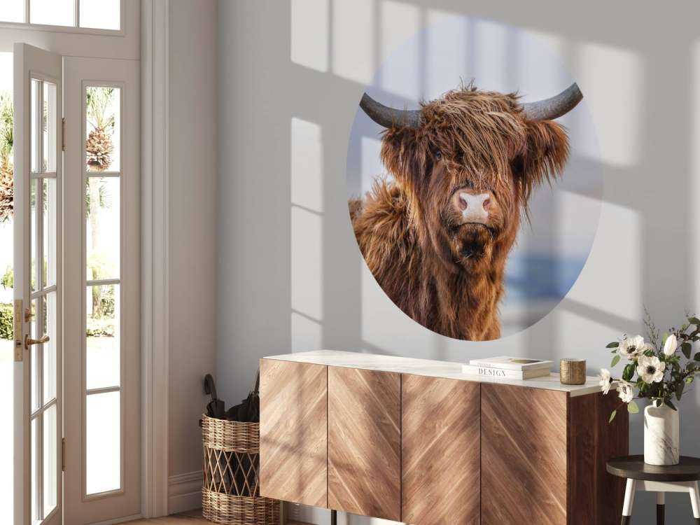 Le Highland écossais en vedette