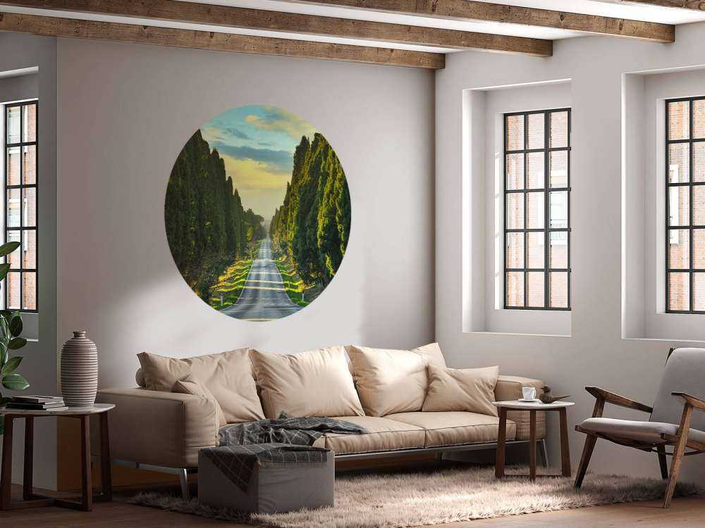 Route avec de grands arbres