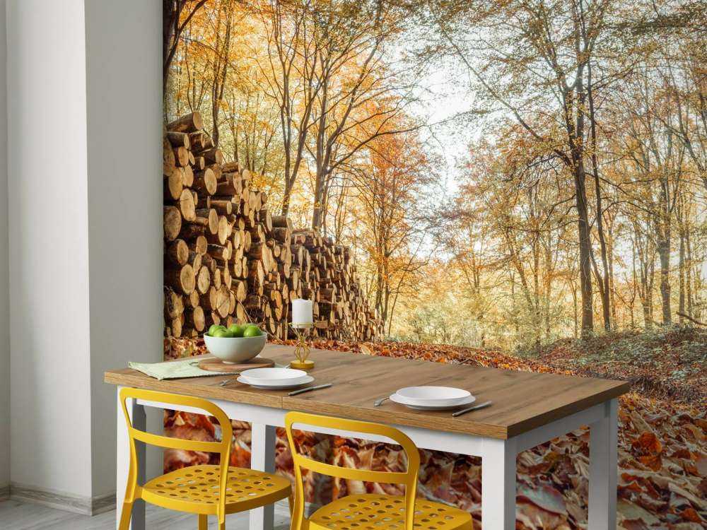 Troncs d'arbres dans la forêt d'automne