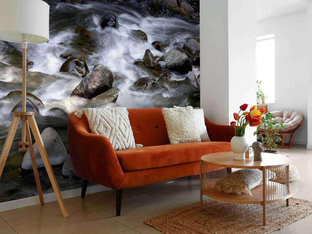 Rivière avec rochers