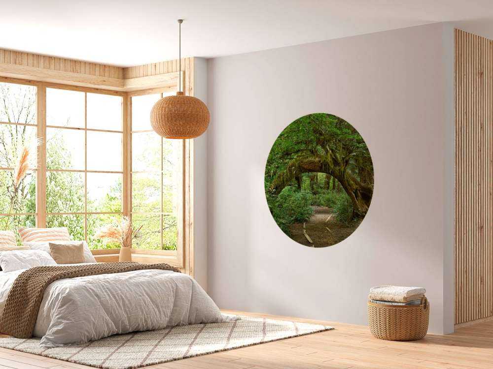 Arbre dans une arche
