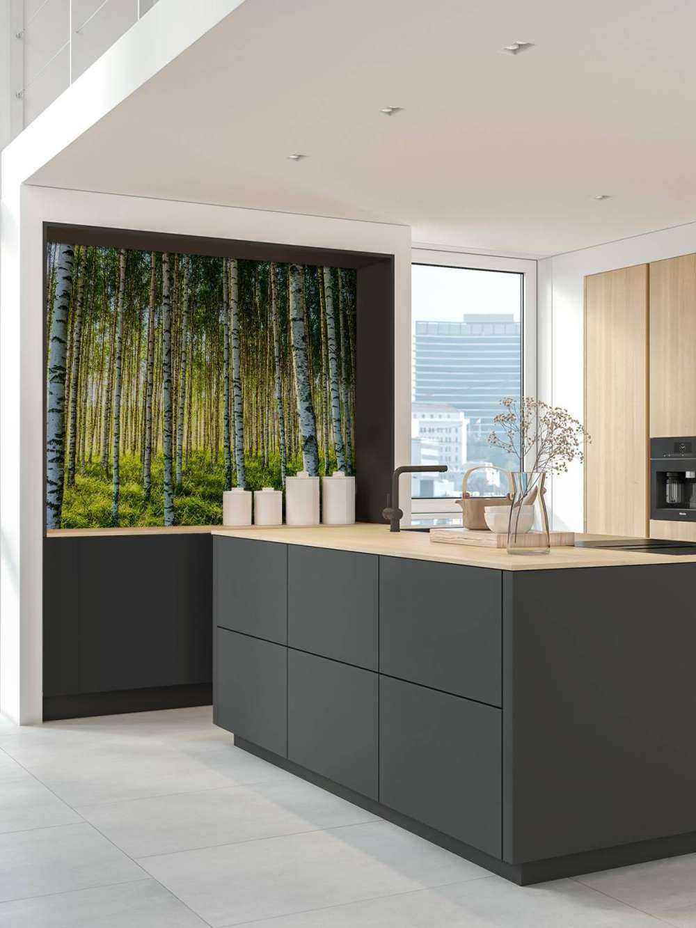 Forêt de bouleaux d'été