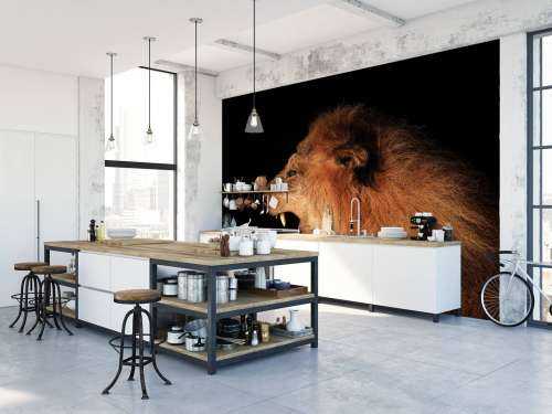 Lion rugissant