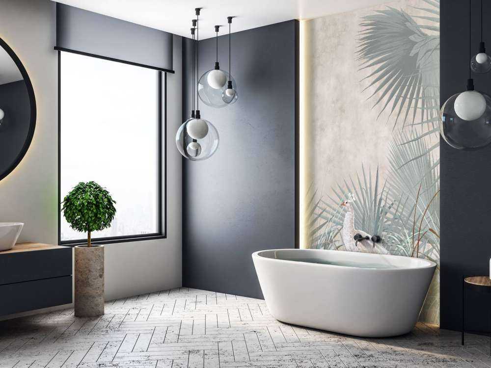 Élégance discrète du Paon