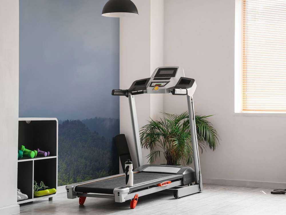 Nuages au-dessus des arbres dans les montagnes