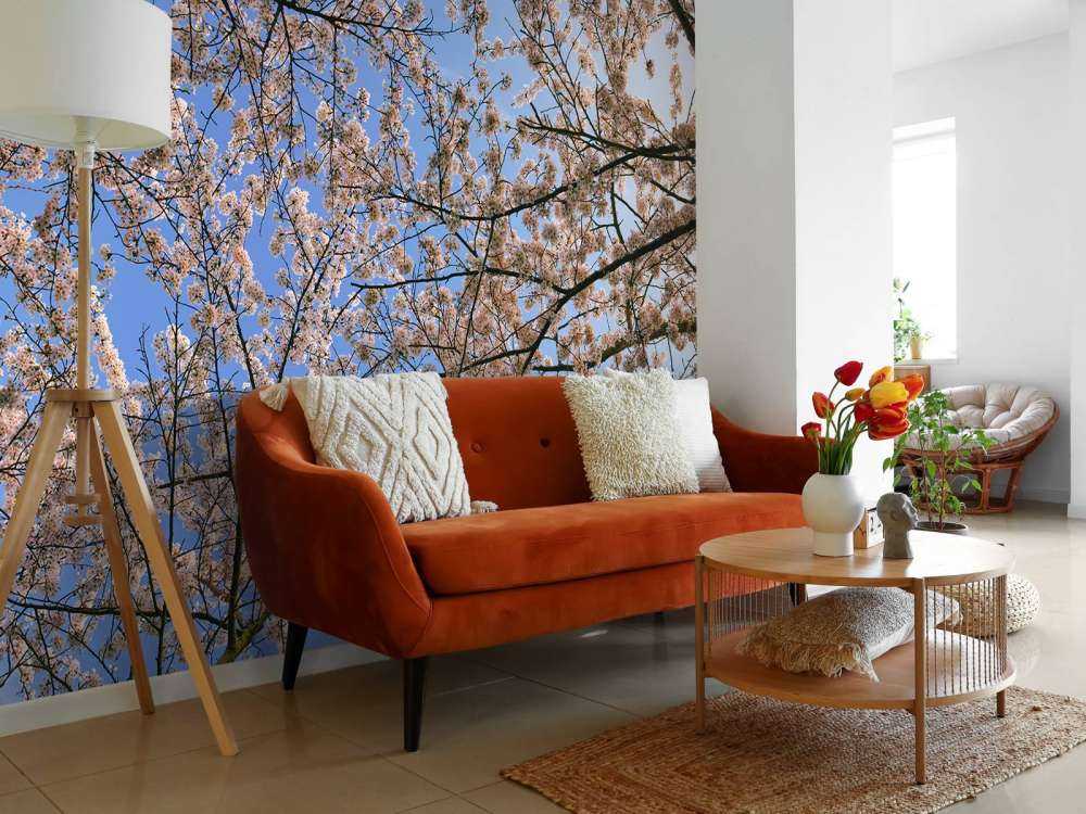 Des branches fleuries en pleine floraison