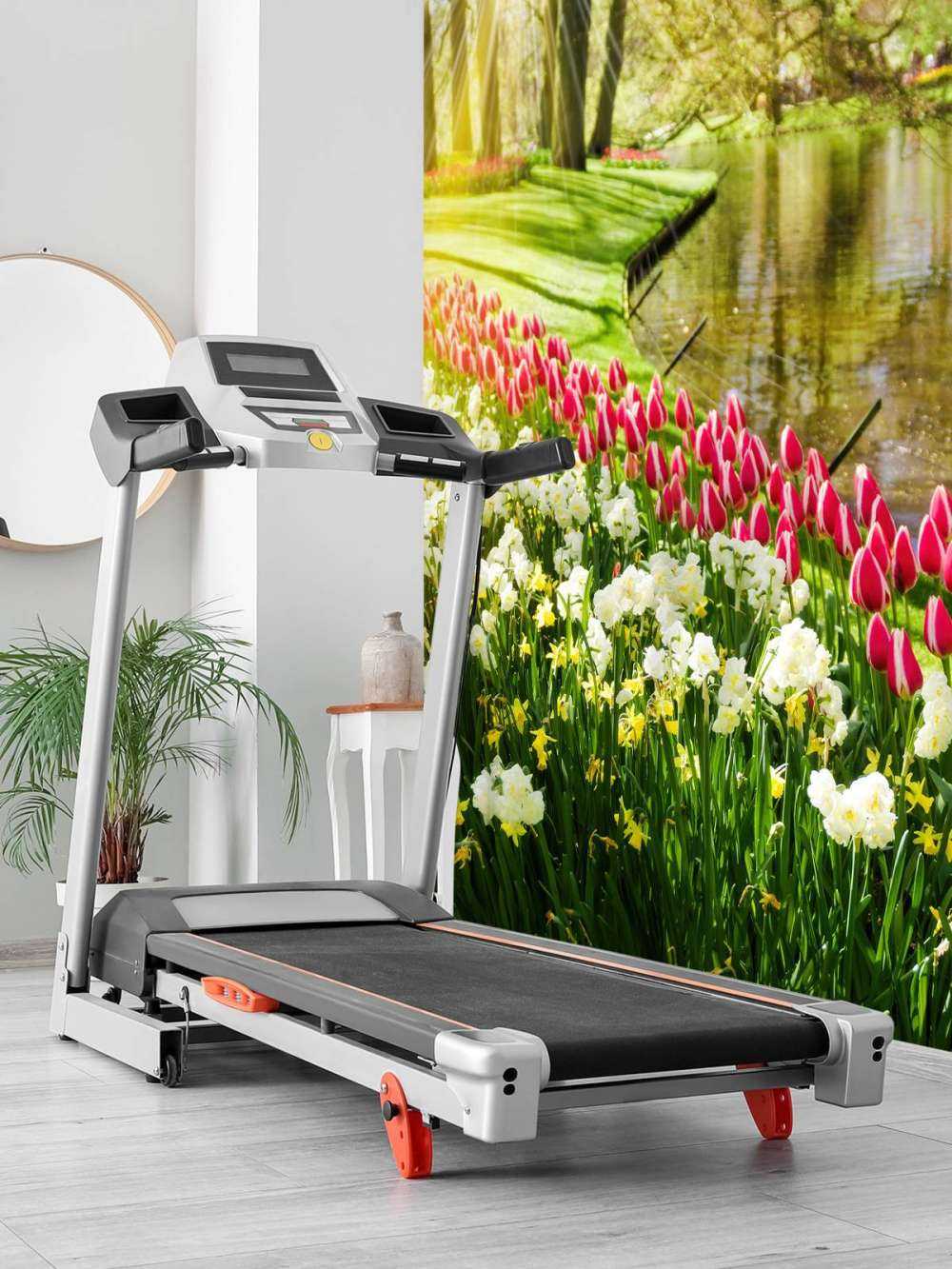 Des fleurs dans un parc ensoleillé