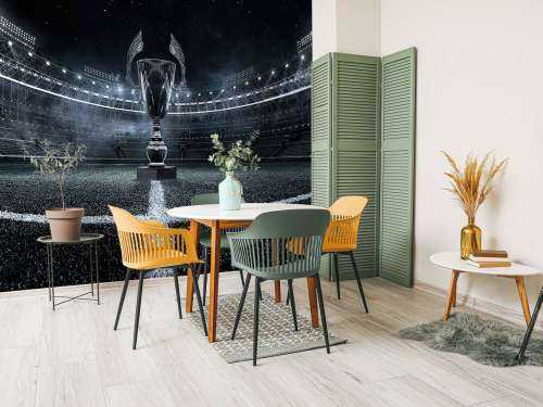 Coupe dans un stade