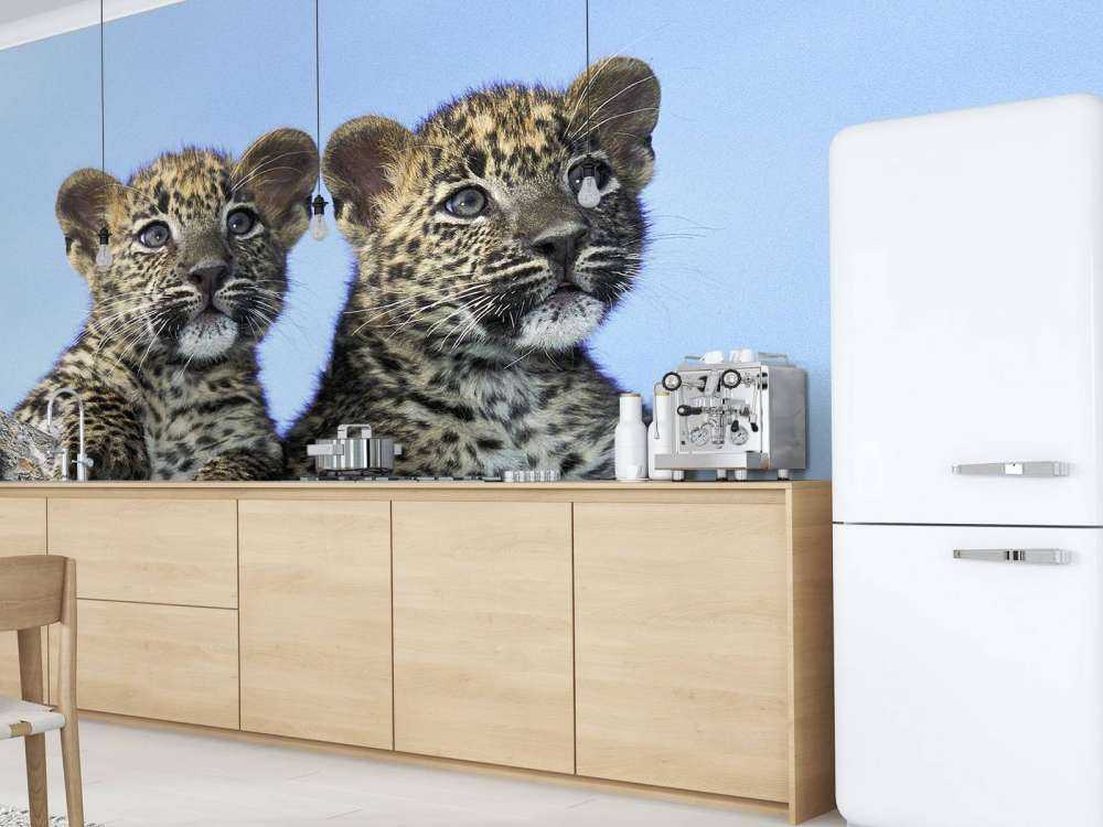 Bébés léopards
