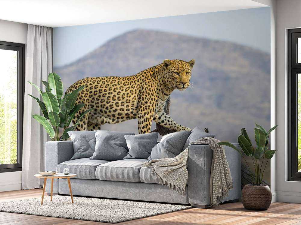 Léopard en Namibie