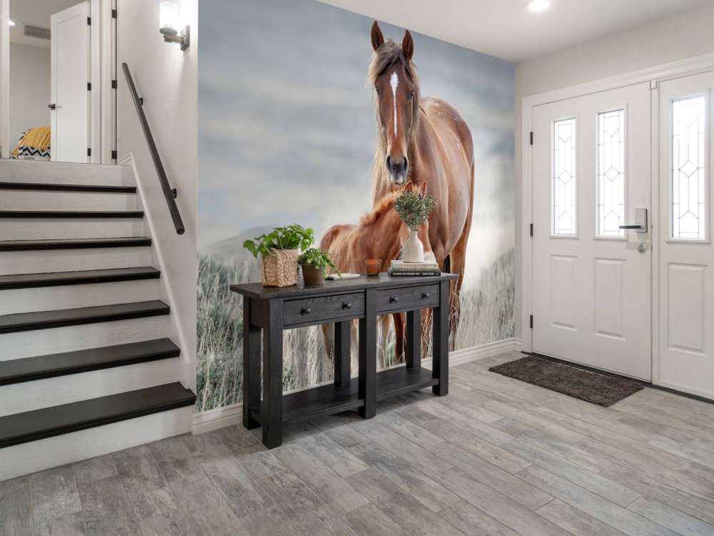 Chevaux sauvages