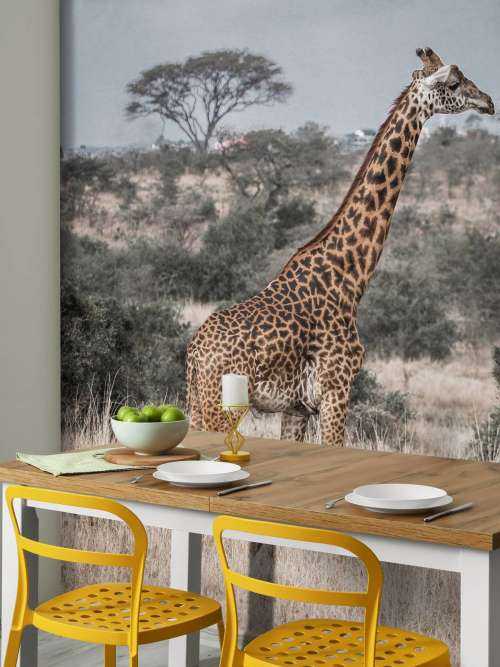 Portrait de girafe