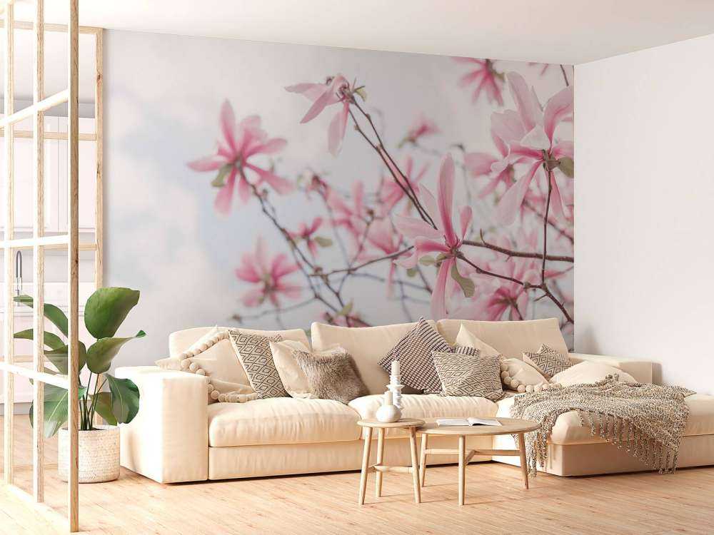 Magnolia
