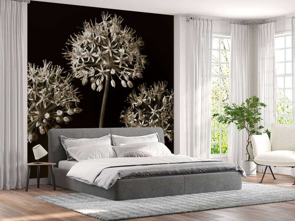 Trois alliums