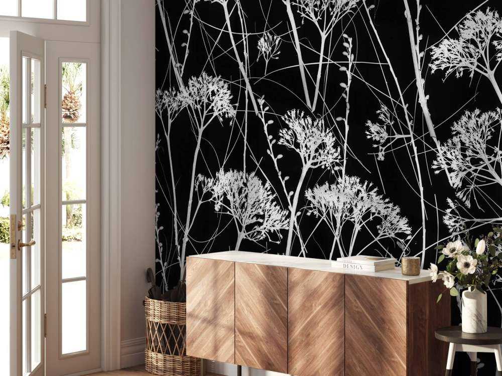 Silhouette de plantes séchées