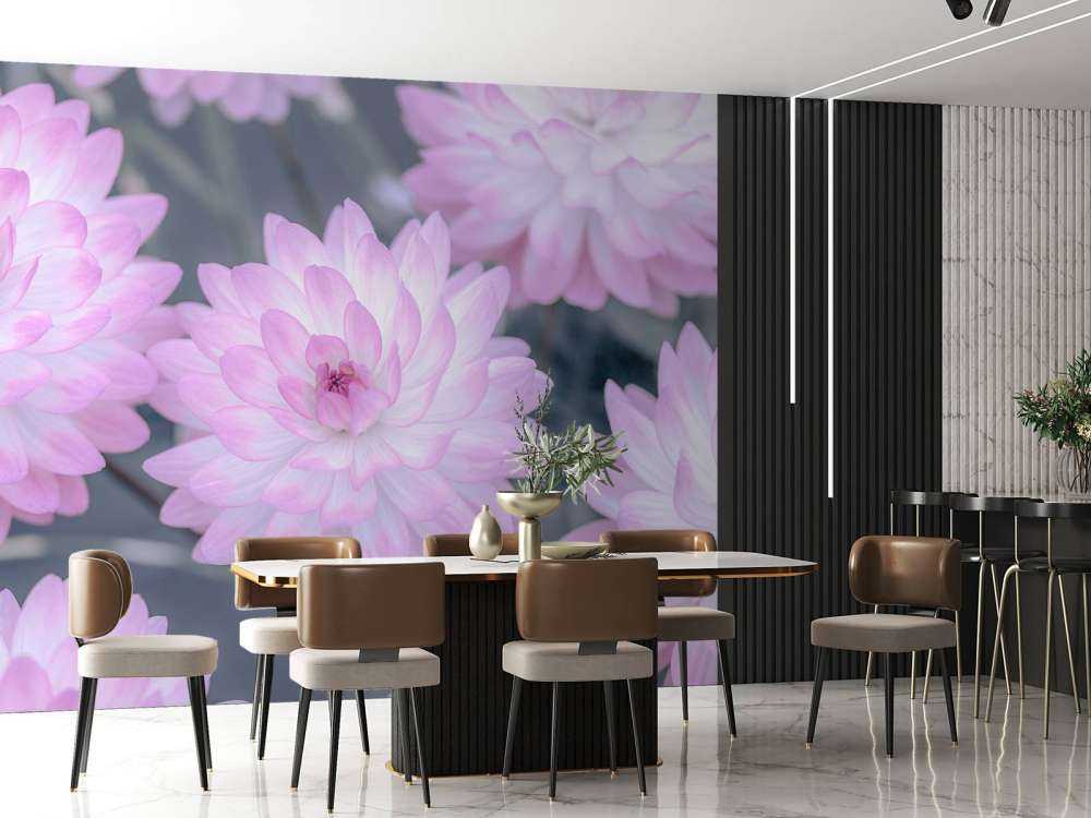 Rose fleur de dahlia
