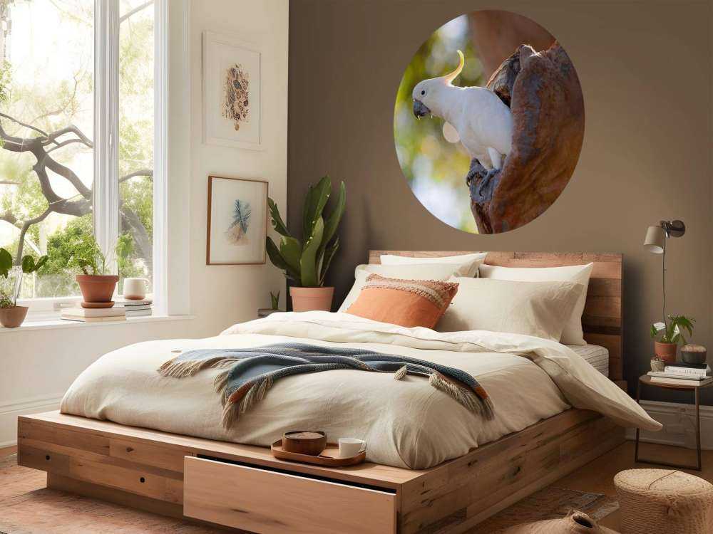 Cacatoès dans la cavité d'un arbre