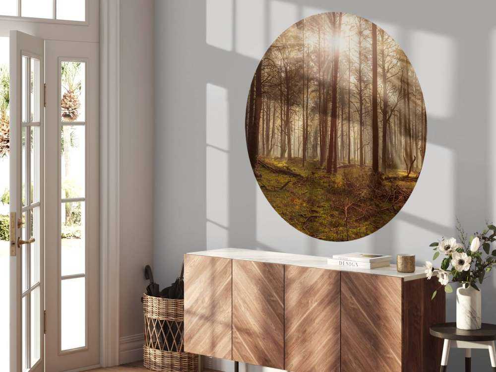Forêt avec de grands arbres