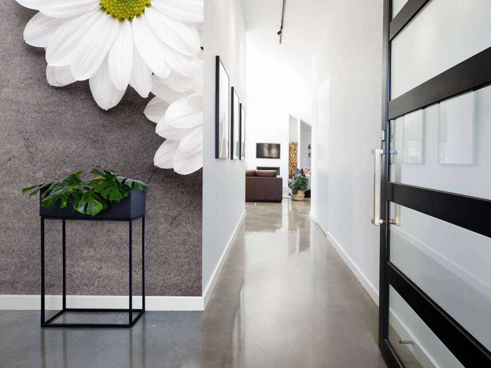 Marguerites et béton