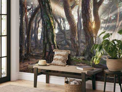 Sacred Pine Trees