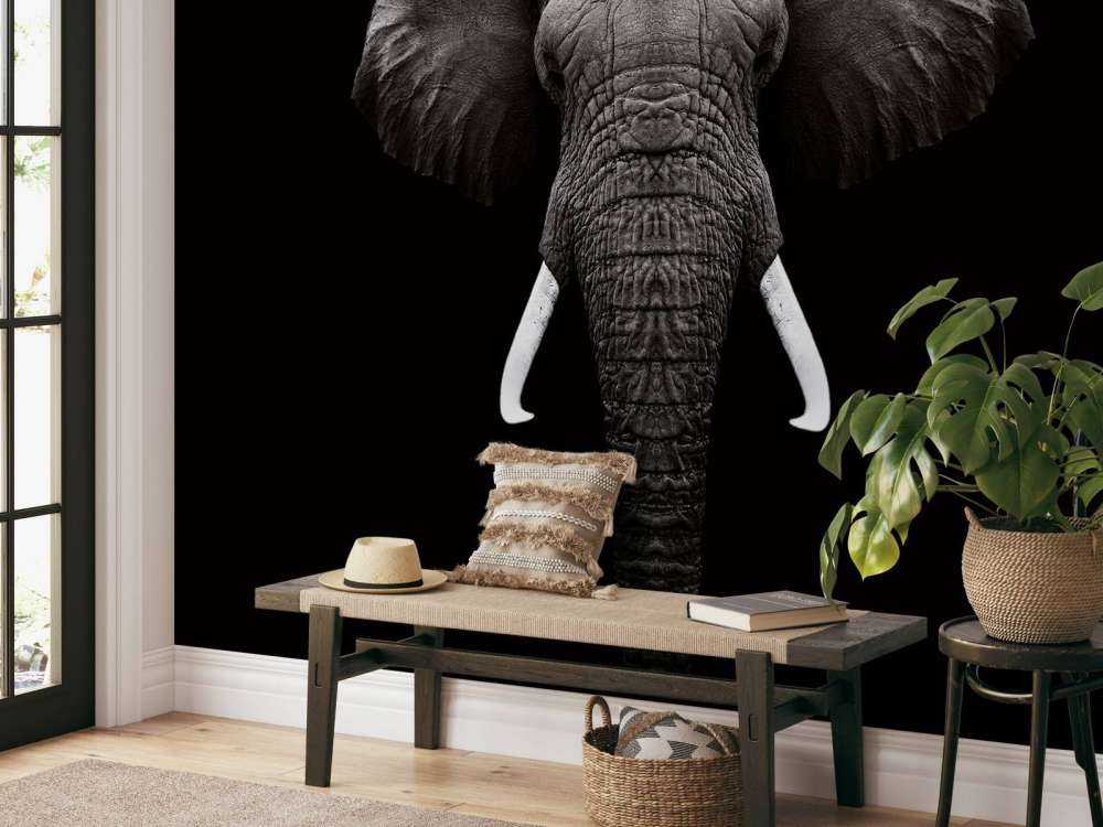Dark Elephant