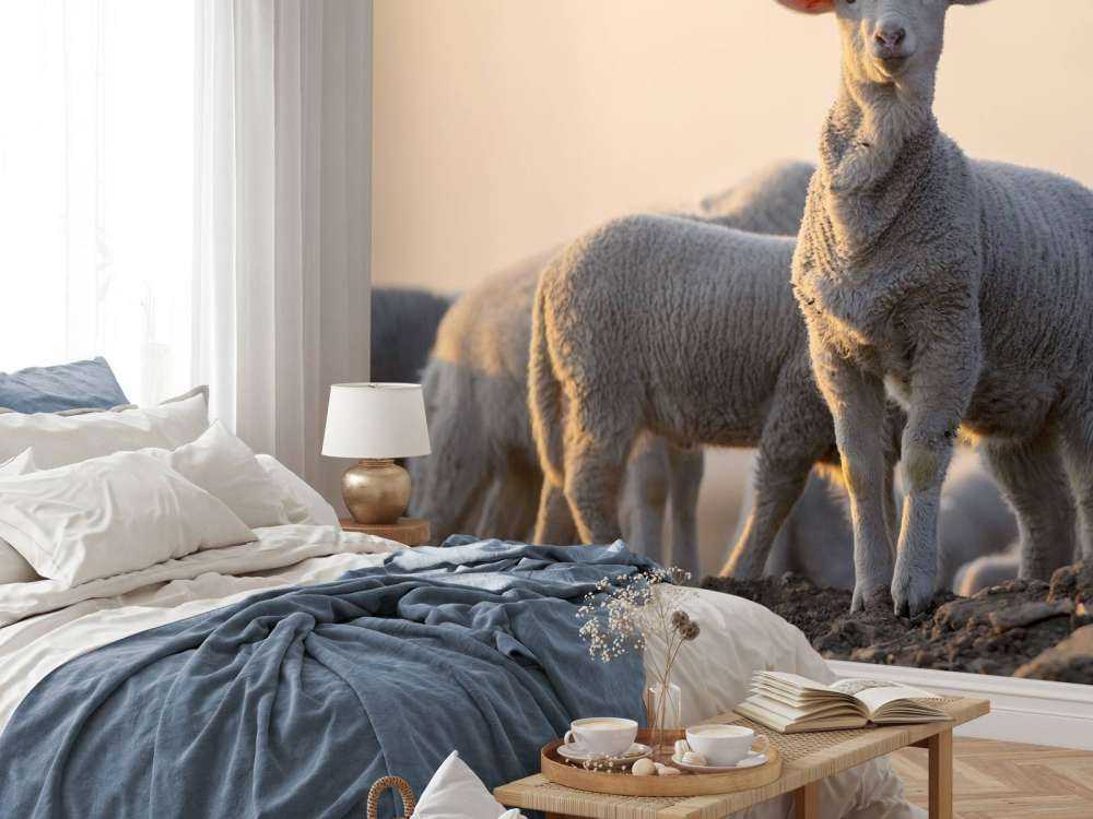 Mouton majestueux