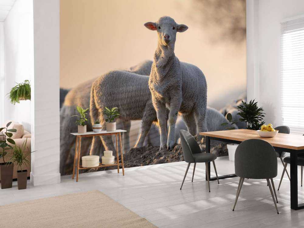 Mouton majestueux
