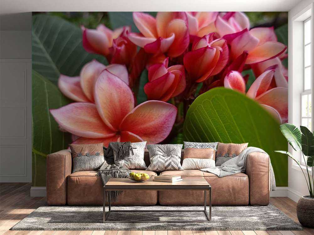 Fleurs tropicales
