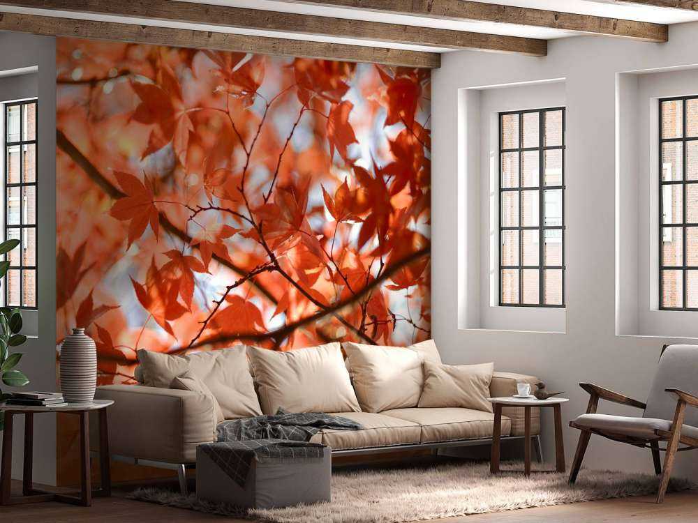 Feuilles d'automne colorées