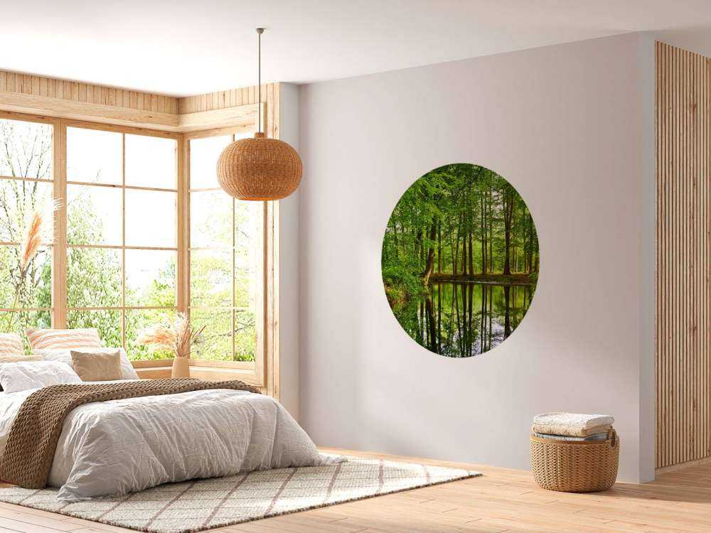 Réflexion d'arbres dans l'eau