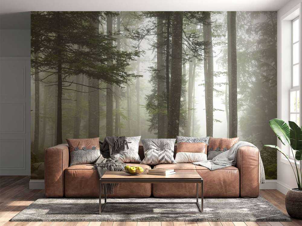 Beau paysage brumeux