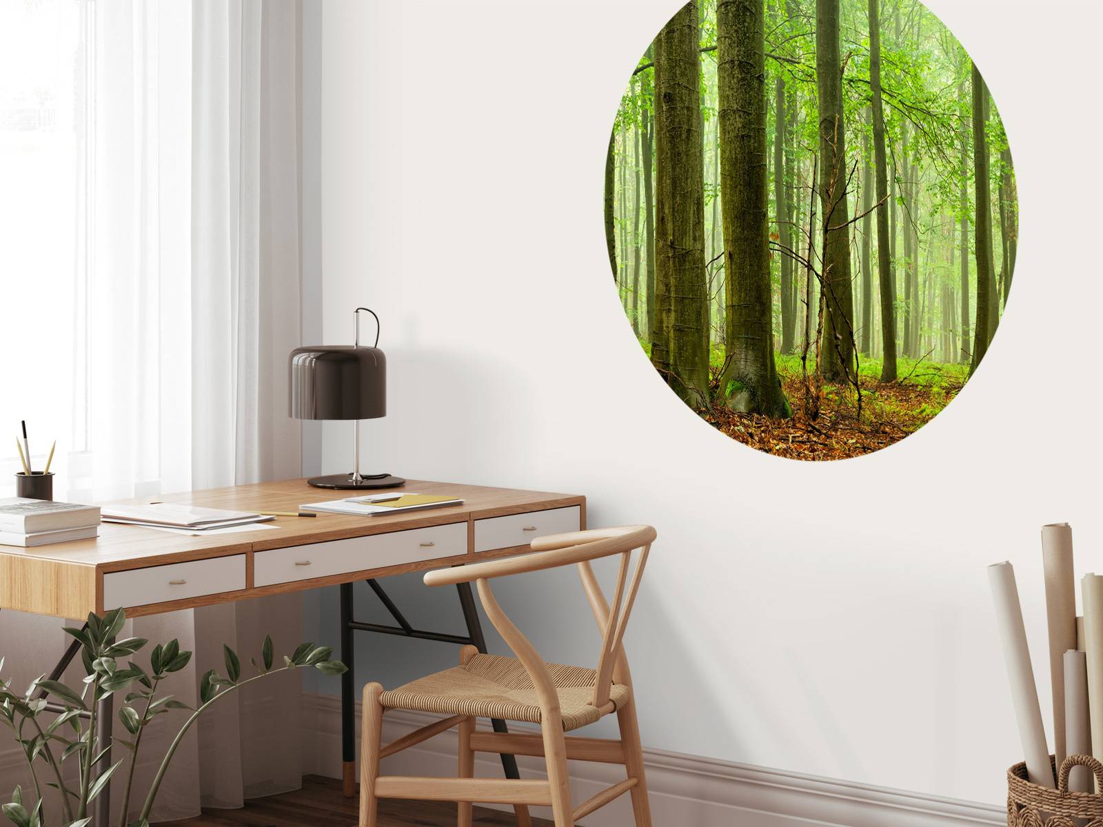 Forêt de hêtres