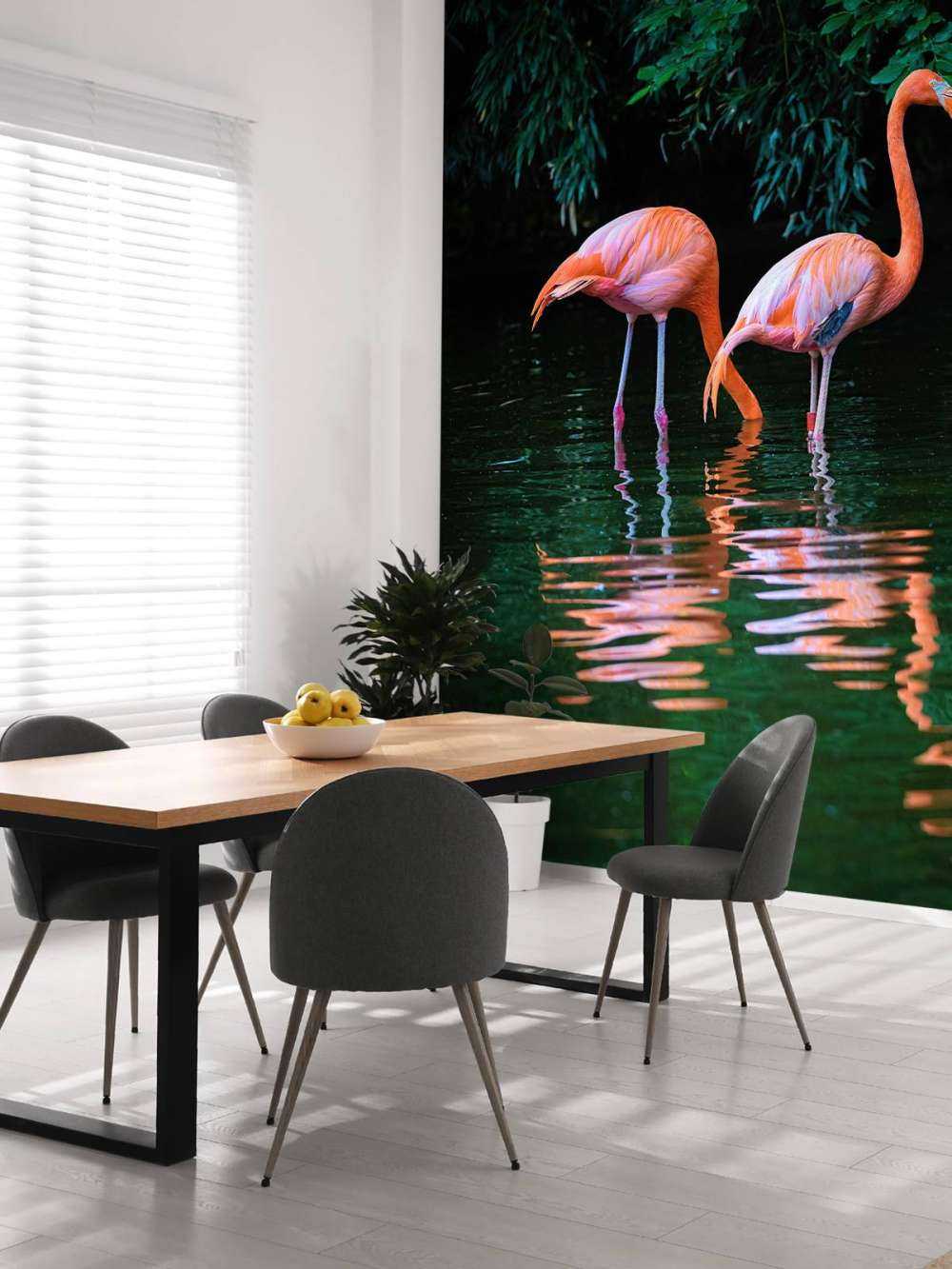 Deux flamants des Caraïbes