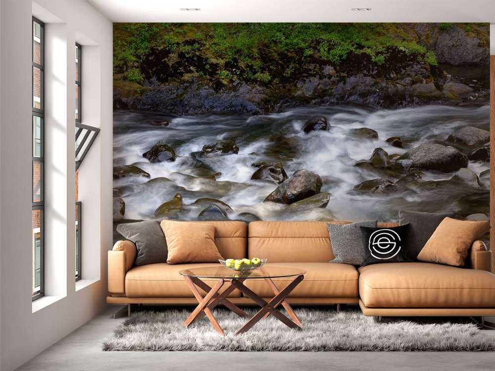 Rivière avec rochers