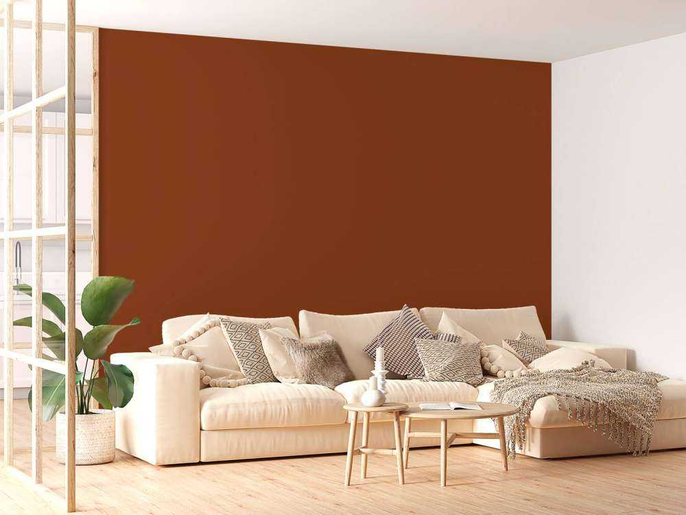 Orange épices
